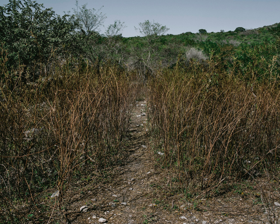 A landscape of Butcher's Hill near Cocula where searchers received a tip about cartel activity in the area. This area is adjacent to the Cocula dump where the 43 students are believed to have been burned.