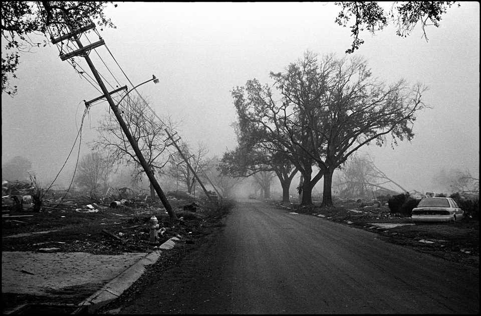 lower 9th ward after hurricane katrina - street with knocked over power lines