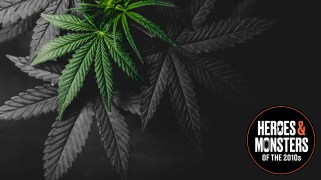 marijuana