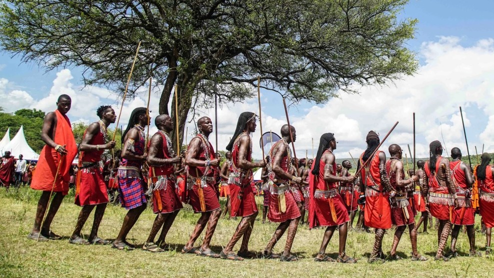 Maasai people, who are Black, dressed in red near a tree