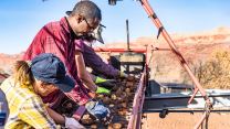 Workers stand on the back of the potator harvestor as they separate potatoes from dirt clods dug up by the harvester.