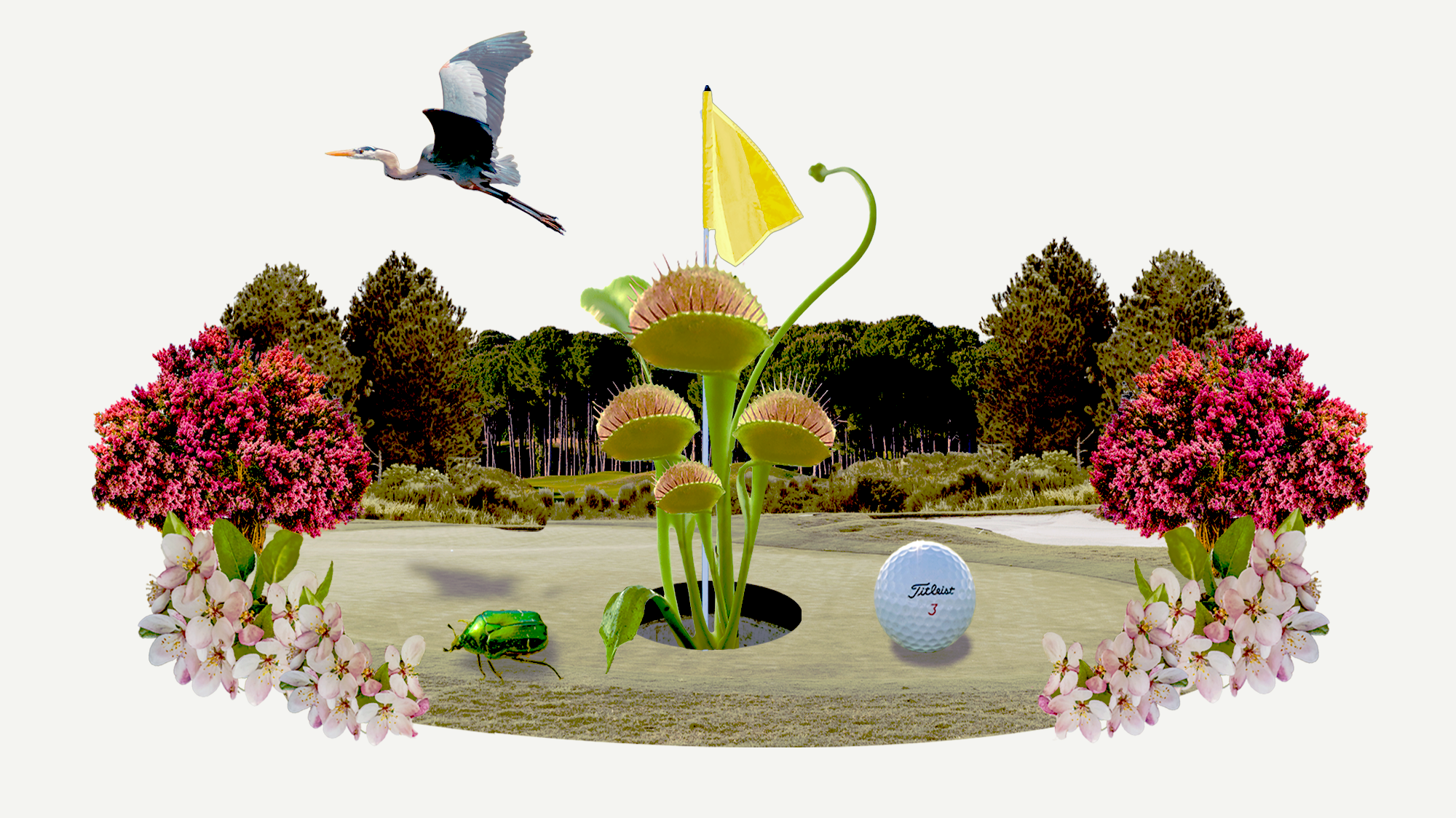 A collage of a venus flytrap at a golf course with some trees and flowers surrounding it, with a bird flying above