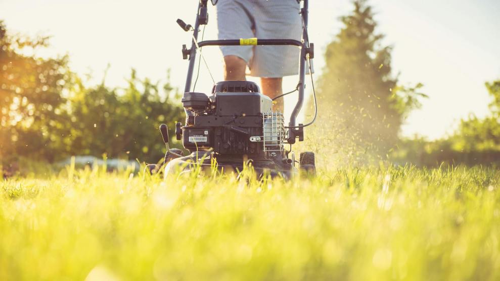 A machine mowing grass