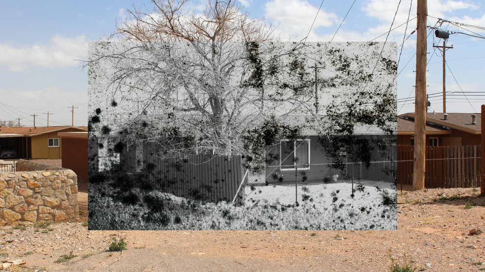 A photo of Former Army Sergeant Johny Dudek's previous home in El Paso, Texas, is overlaid with an illustration of dark mold-like splotches.