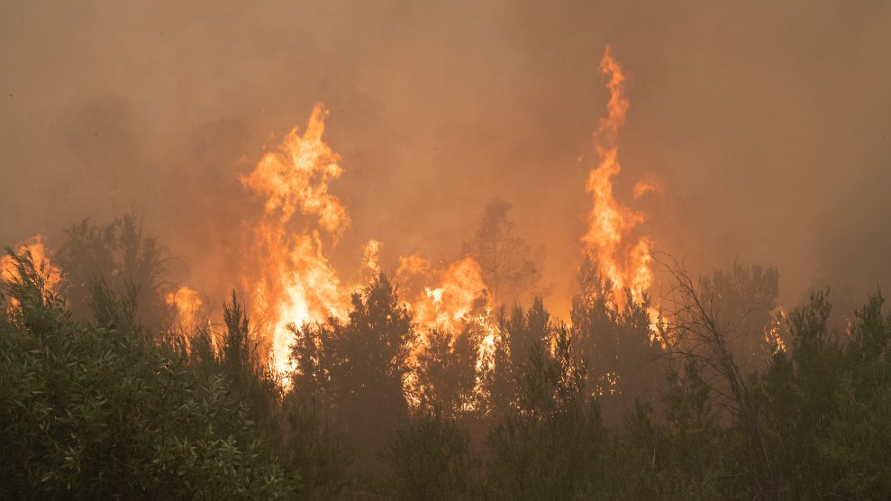 Fire and smoke ablaze in a forest area