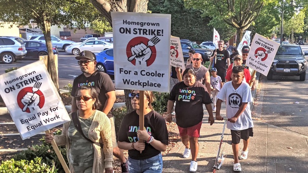 Picketers walking outside with signs that say "Homegrown on strike for a cooler workplace" and "Homegrown on strike for equal pay and equal work"