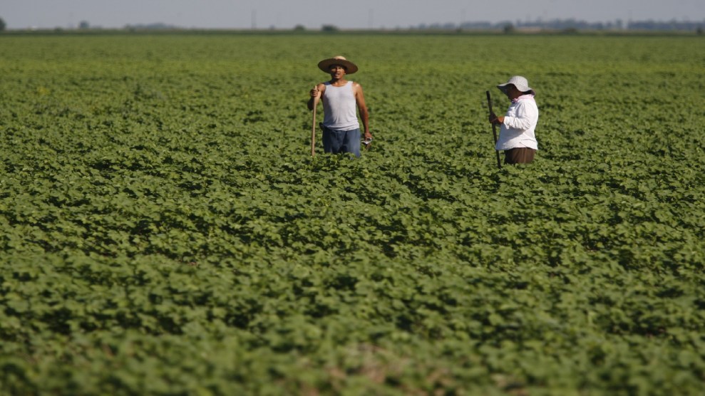 Two migrant workers stand in a field in Arkansas