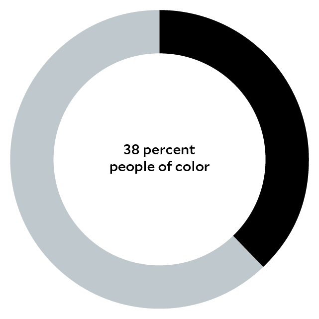  A chart in the form of a circle with the text: 38 percent people of color.