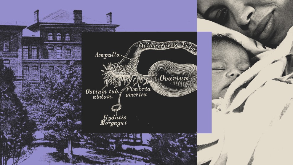 Photo collage featuring the Tuskegee Institute campus, a medical illustration of a fallopian tube, and an image of a Black mother and her newborn.