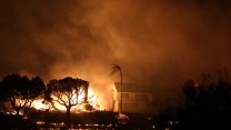 A smoky landscape of black trees and orange flames surrounds a house.