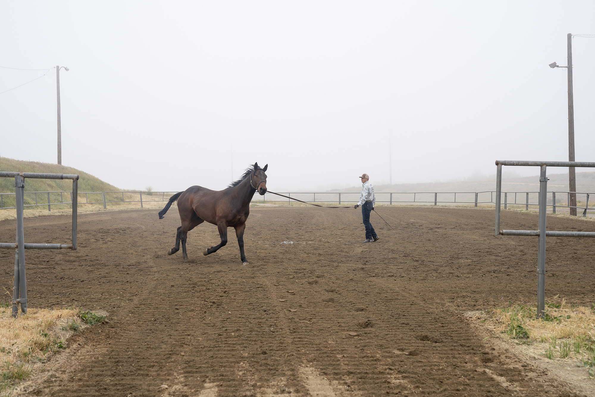 A man walks a horse on a long rope.
