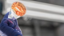 A hand in a purple glove holds a beaker with an orange liquid