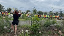 A woman in shorts and a t-shirt pressed up against a chain link fence, looking at a line of workers in high visibility construction clothing,