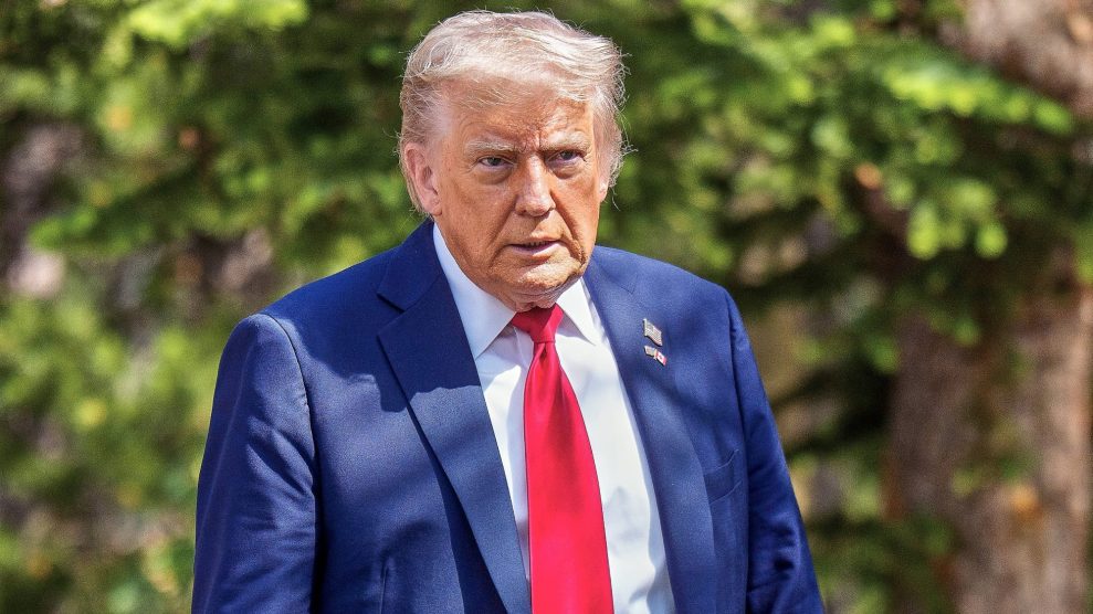 An image of Donald Trump.