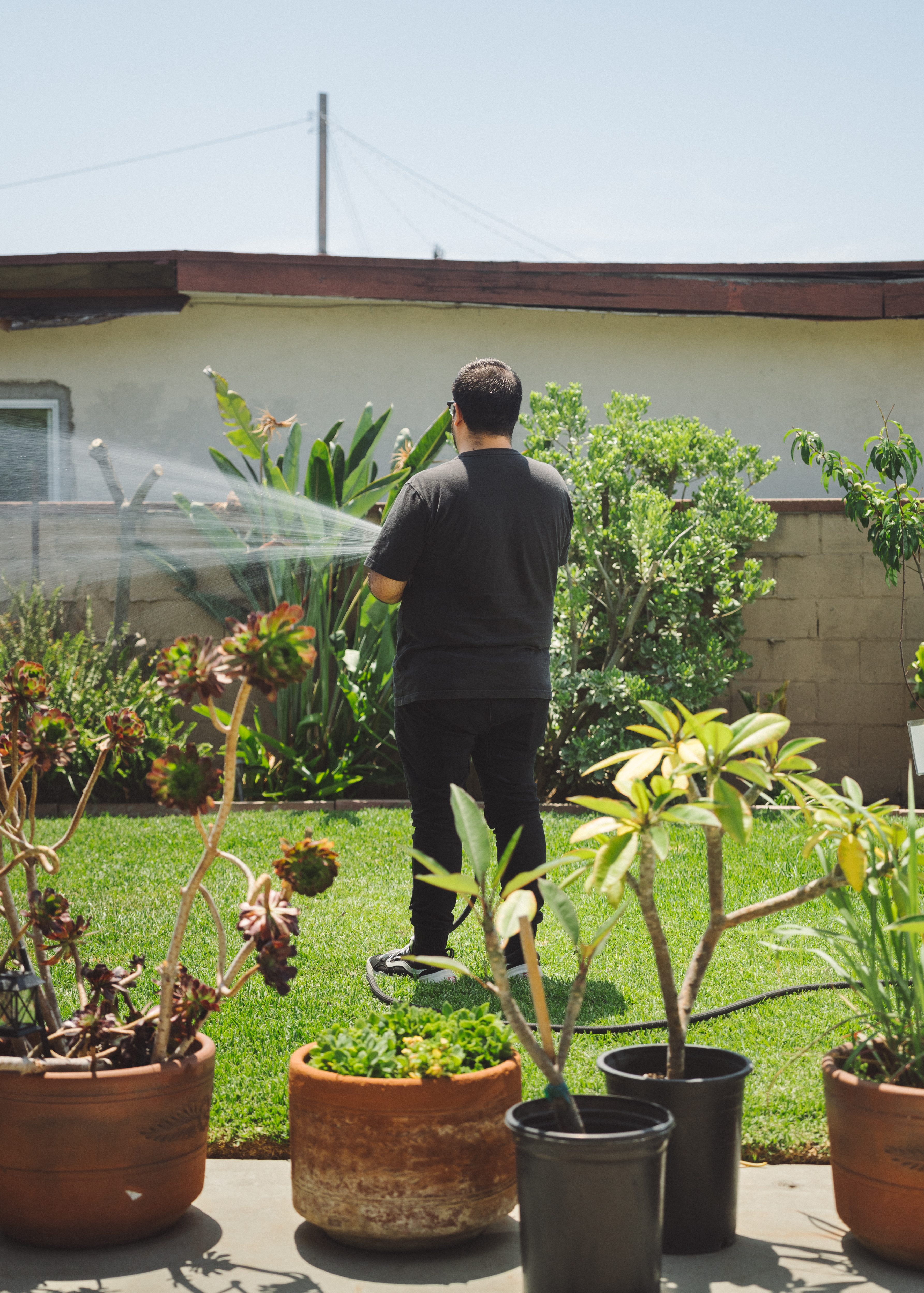 A man, shown from behind, holds a hose, spraying water over the grass in a landscaped backyard.