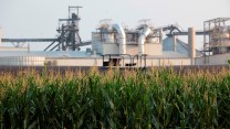 A silvery industrial structure with large pipes and crop elevators sits alongside a cornfield on a hazy day.