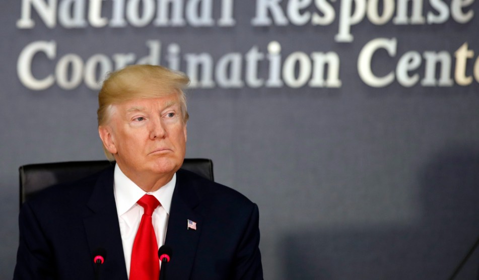 Closeup of Donald Trump's face, gray background