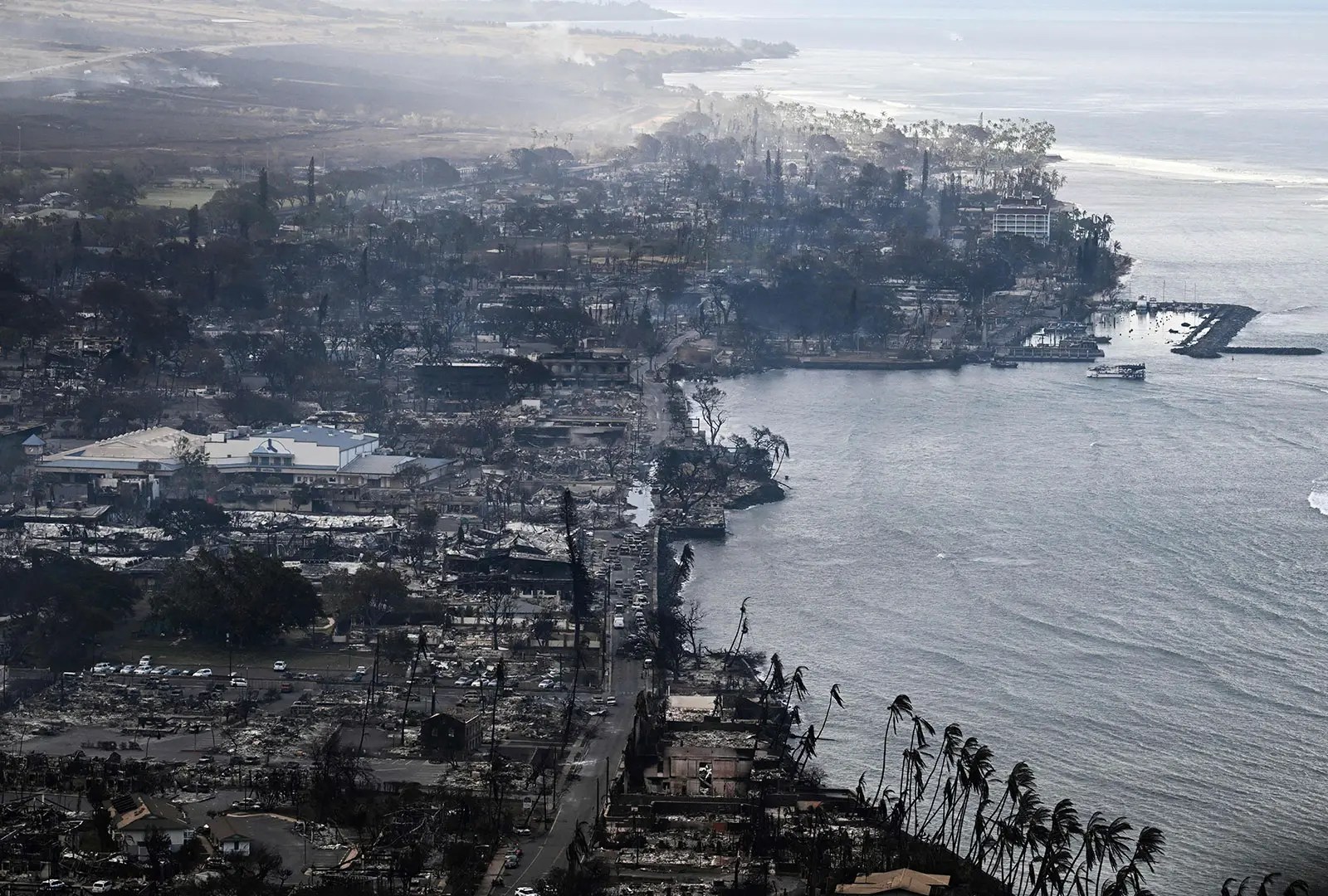 An aerial view of Maui after the wildfires. Buildings and trees are blackened.