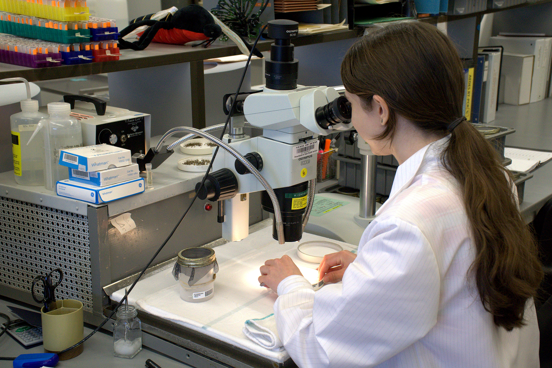 Someone wearing a lab coat looks through a microscope.