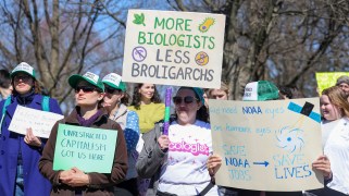 A person wearing a shirt that says ecologist holds a sign that says "More biologists, less broligarchs." Others surround them with similar science-themed signs.