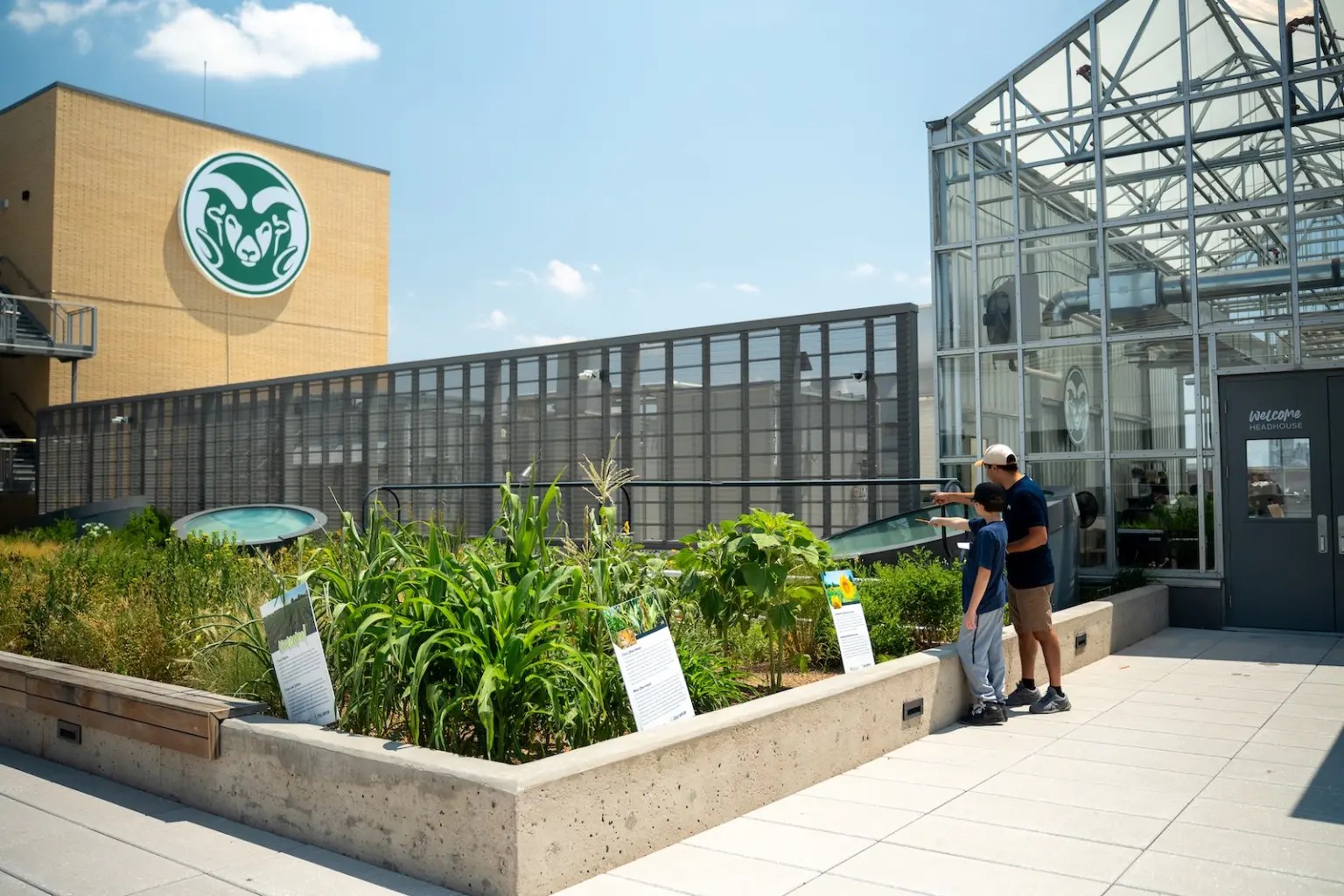 Two people examine a garden bed o the roof of a building. A large, circular Ram logo can be seed in the distance.