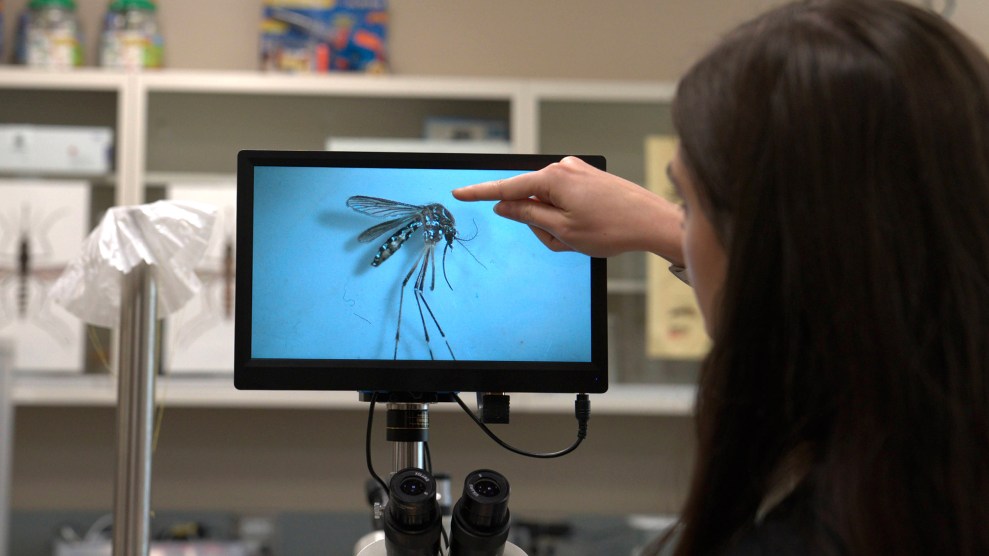 A scientist points to a mosquito magnified on a screen.