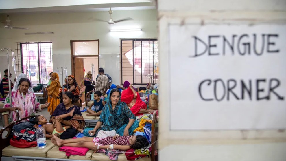 A sign says "dengue corner" in front of children in hospital beds.