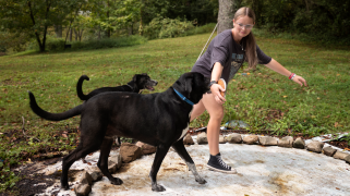 A photograph of teenage girl in glasses with long brown hair in a ponytail. She is dressed in a black t-shirt and shorts, holding a discus as she begins to spin. Two black dogs behind her watch attentively.