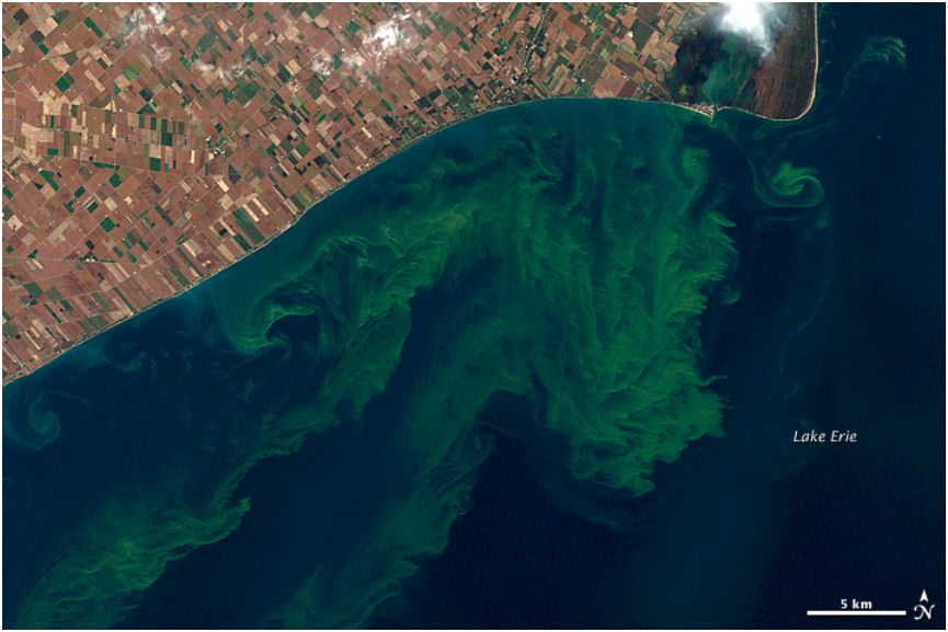 satelite view of algae in lake eerie