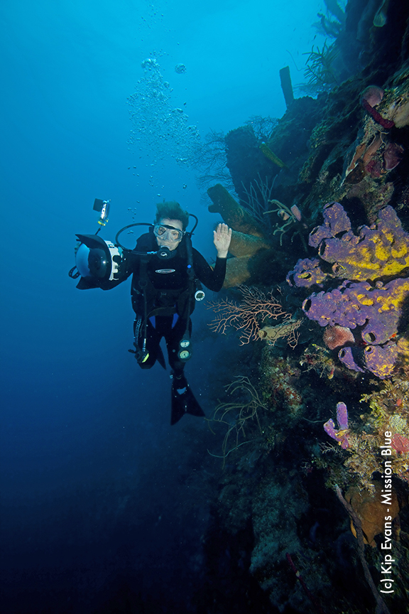 Sylvia Earle Diving