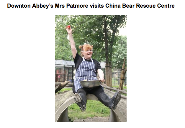 Mrs. Patmore Downton Abbey bear rescue