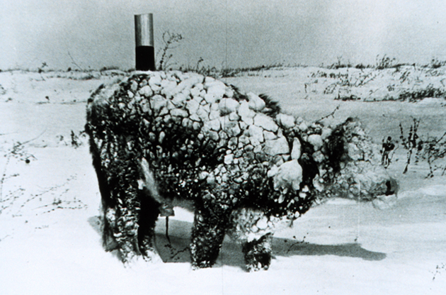 historic frozen cow