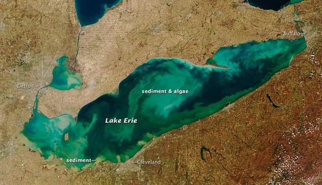 Lake Erie slime