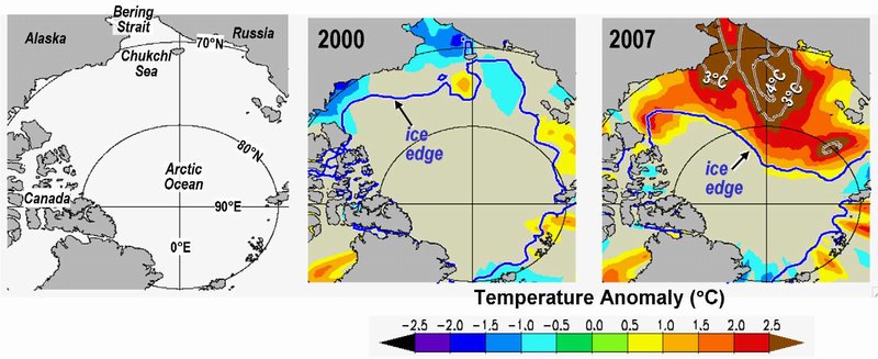 20071211_pid38532_aid38531_warmarcticwaters_w800.jpg