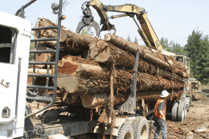 harkinson_lumber_0016.gif