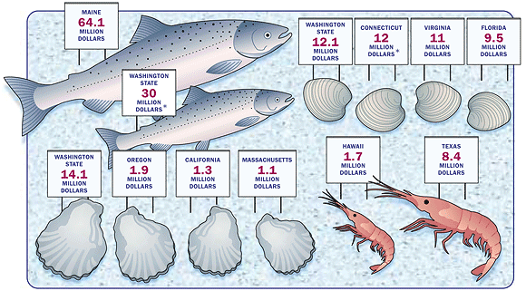 Aquaculture Production chart